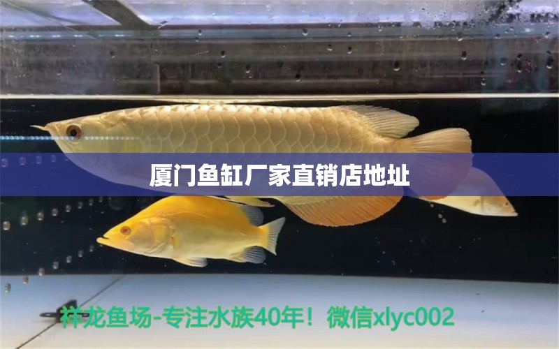 廈門魚(yú)缸廠家直銷店地址 祥龍魚(yú)場(chǎng)