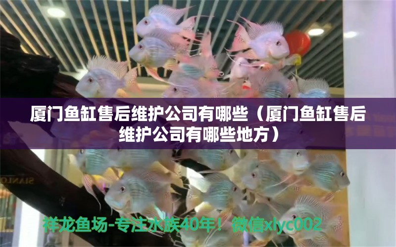 廈門魚缸售后維護(hù)公司有哪些（廈門魚缸售后維護(hù)公司有哪些地方） 其他品牌魚缸