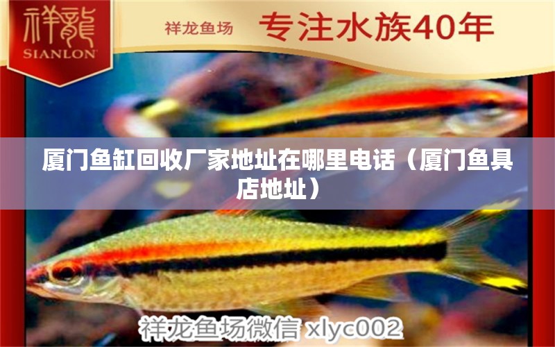 廈門魚缸回收廠家地址在哪里電話（廈門魚具店地址）