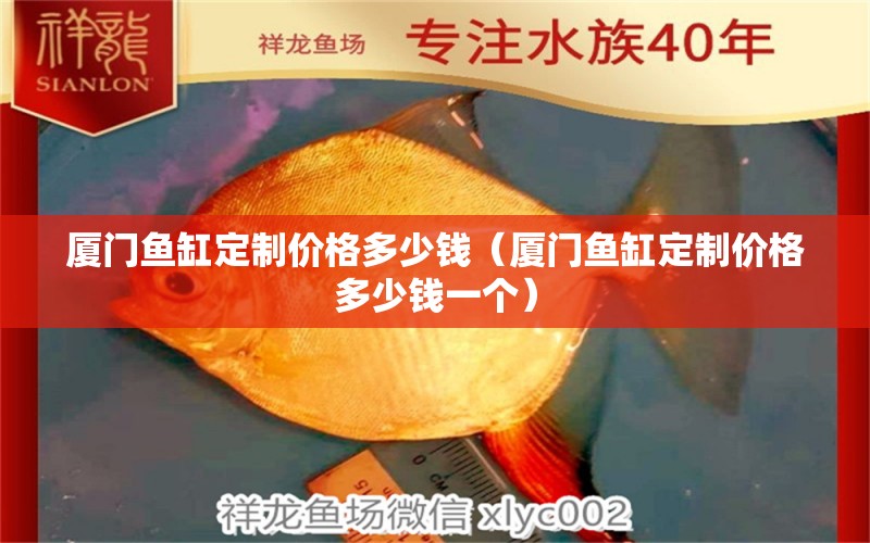 廈門魚缸定制價格多少錢（廈門魚缸定制價格多少錢一個）