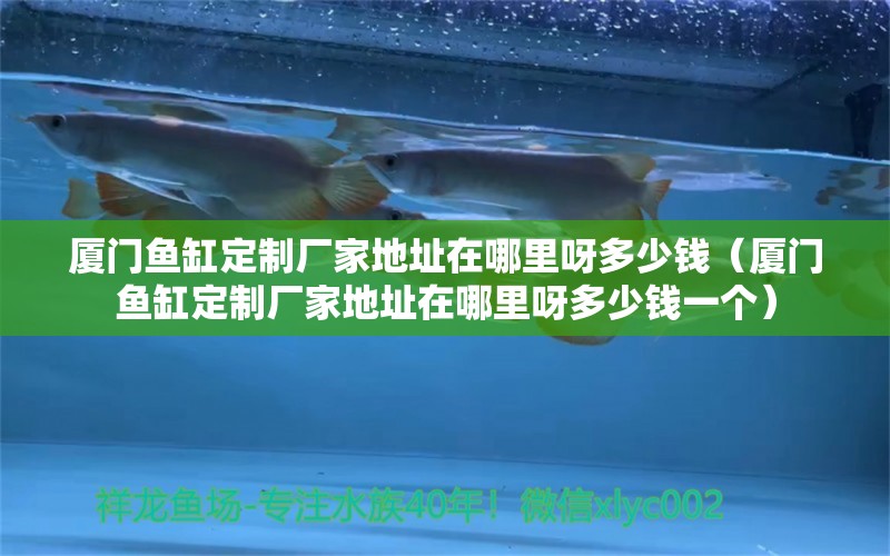 廈門魚缸定制廠家地址在哪里呀多少錢（廈門魚缸定制廠家地址在哪里呀多少錢一個(gè)）