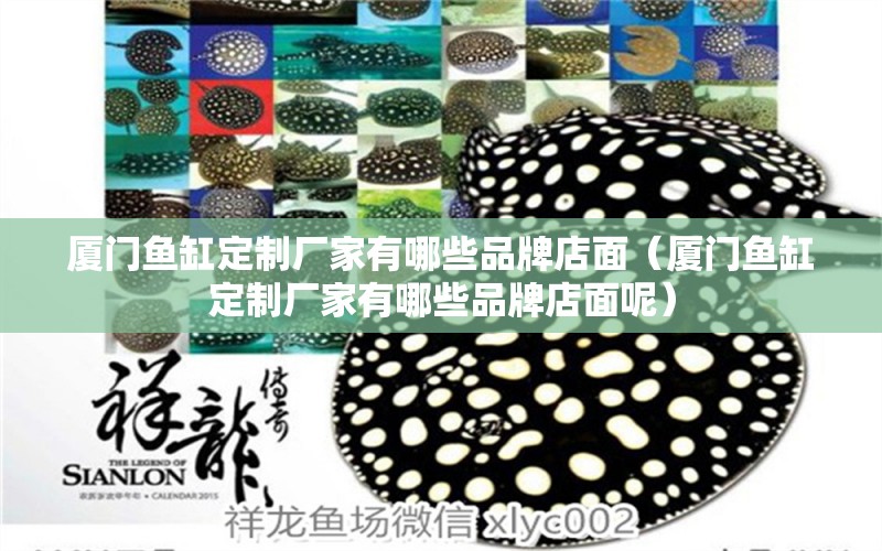 廈門(mén)魚(yú)缸定制廠家有哪些品牌店面（廈門(mén)魚(yú)缸定制廠家有哪些品牌店面呢）