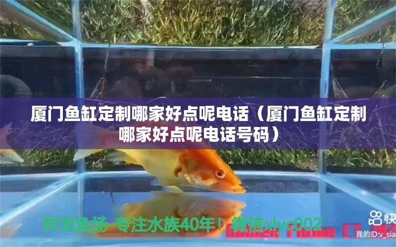 廈門魚缸定制哪家好點(diǎn)呢電話（廈門魚缸定制哪家好點(diǎn)呢電話號碼）