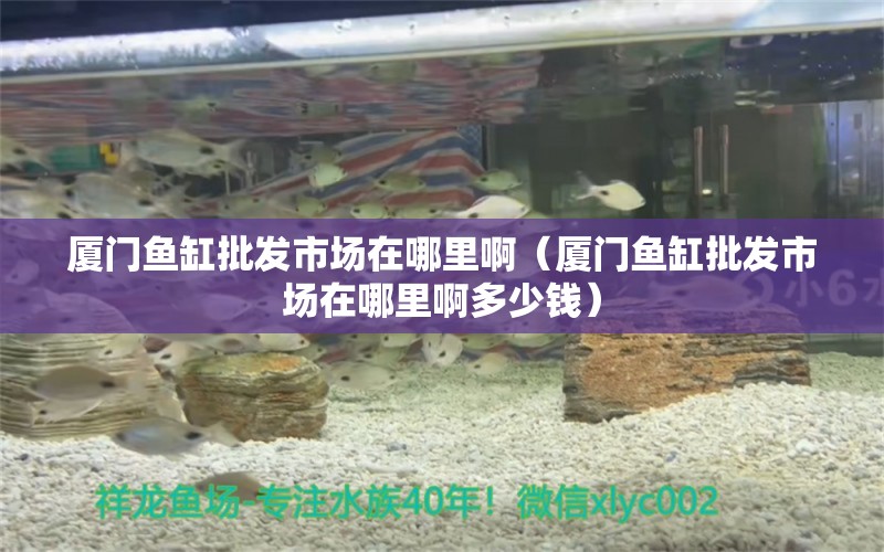 廈門魚缸批發(fā)市場在哪里?。◤B門魚缸批發(fā)市場在哪里啊多少錢） 其他品牌魚缸