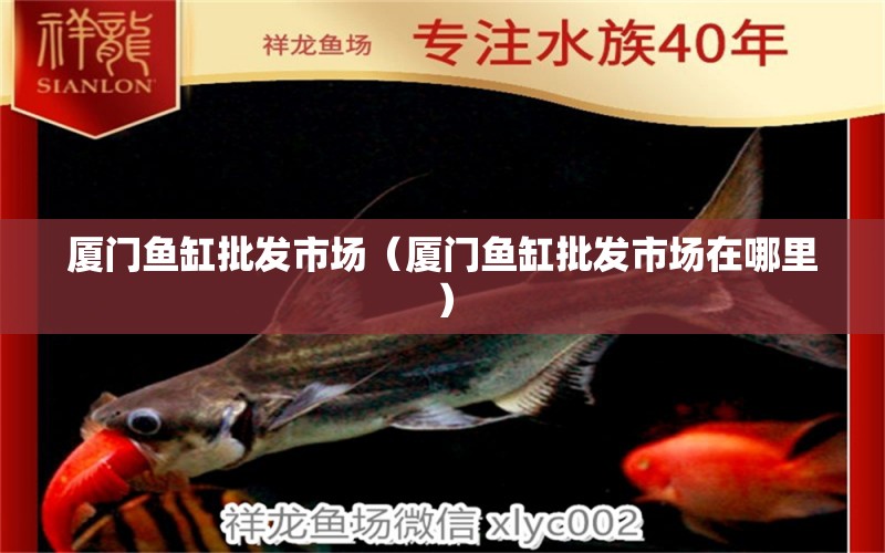 廈門魚缸批發(fā)市場（廈門魚缸批發(fā)市場在哪里） 觀賞魚水族批發(fā)市場