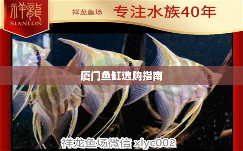 廈門魚缸選購(gòu)指南 觀賞魚