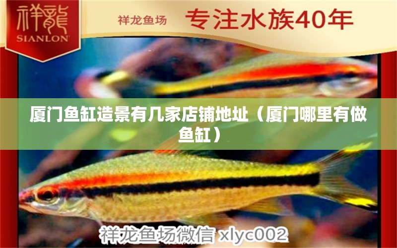 廈門魚缸造景有幾家店鋪地址（廈門哪里有做魚缸）