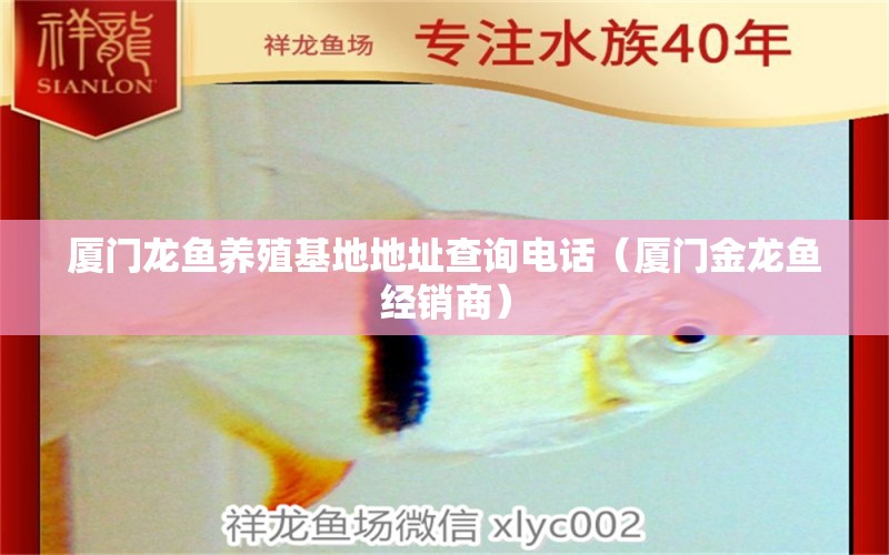 廈門龍魚養(yǎng)殖基地地址查詢電話（廈門金龍魚經(jīng)銷商）