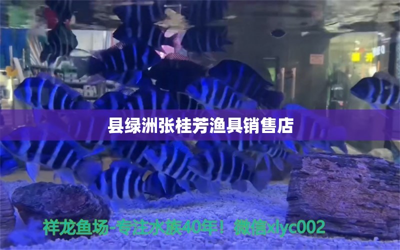 縣綠洲張桂芳漁具銷售店