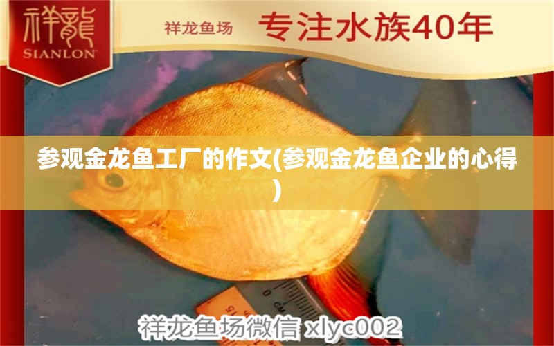 參觀金龍魚工廠的作文(參觀金龍魚企業(yè)的心得) 除藻劑