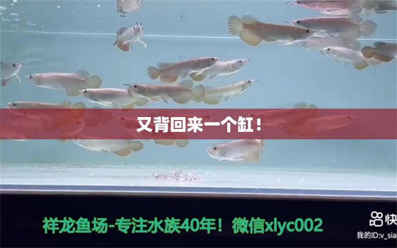 又背回來一個(gè)缸！ 觀賞魚論壇 第2張