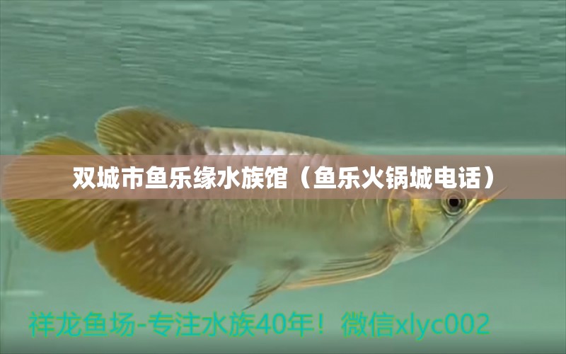 雙城市魚樂緣水族館（魚樂火鍋城電話）