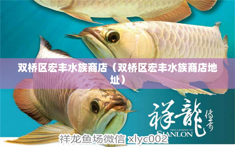 雙橋區(qū)宏豐水族商店（雙橋區(qū)宏豐水族商店地址）