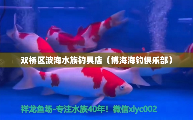 雙橋區(qū)波海水族釣具店（博海海釣俱樂部） 垂釣樂園