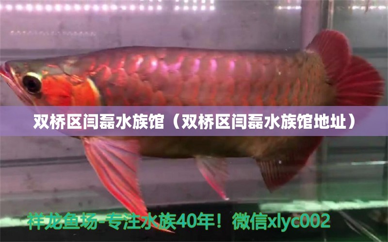 雙橋區(qū)閆磊水族館（雙橋區(qū)閆磊水族館地址） 全國水族館企業(yè)名錄