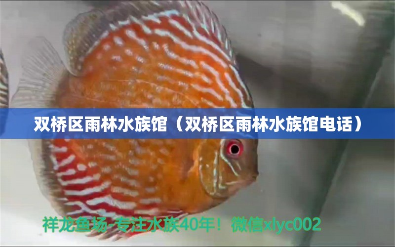 雙橋區(qū)雨林水族館（雙橋區(qū)雨林水族館電話） 全國水族館企業(yè)名錄