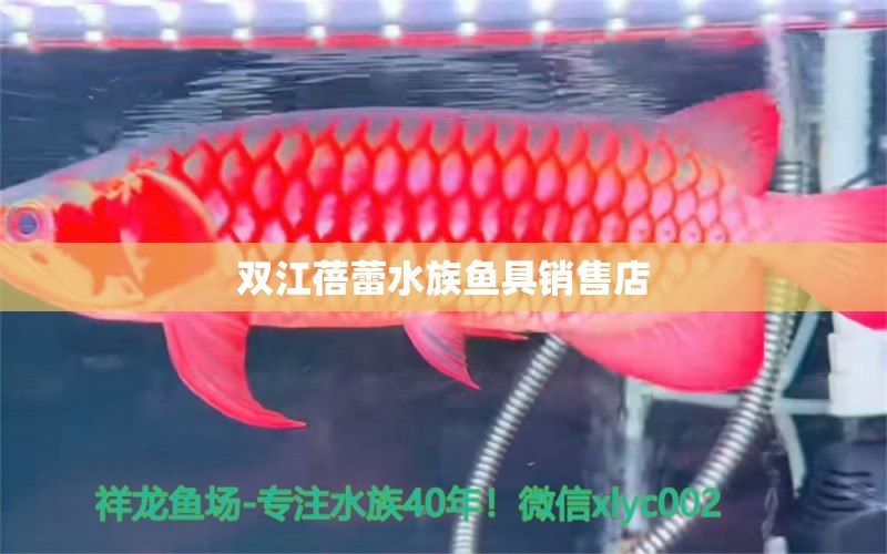 雙江蓓蕾水族魚具銷售店