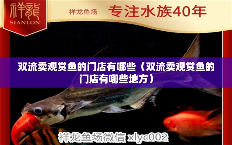 雙流賣(mài)觀賞魚(yú)的門(mén)店有哪些（雙流賣(mài)觀賞魚(yú)的門(mén)店有哪些地方）