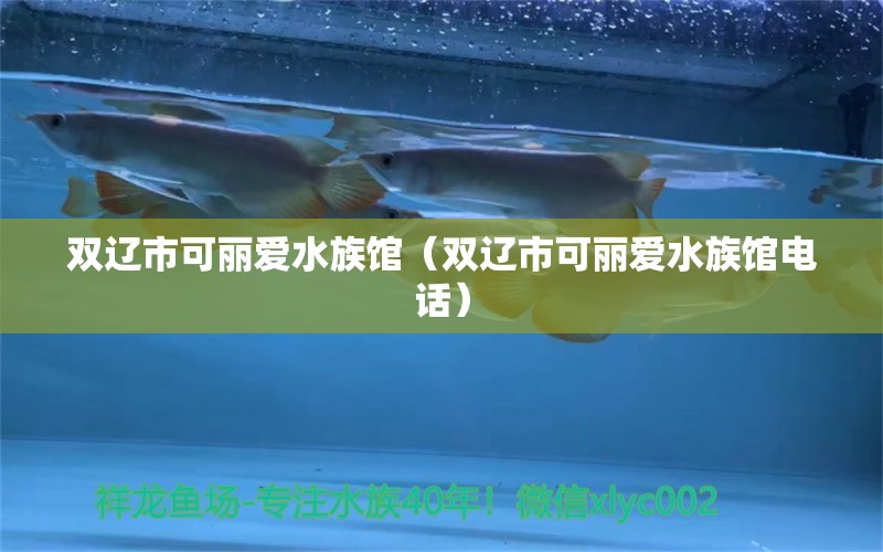 雙遼市可麗愛水族館（雙遼市可麗愛水族館電話）