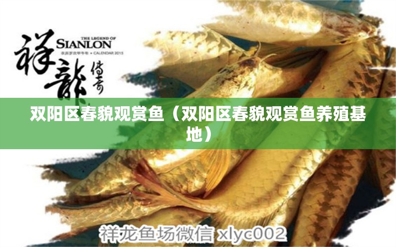 雙陽(yáng)區(qū)春貌觀賞魚(yú)（雙陽(yáng)區(qū)春貌觀賞魚(yú)養(yǎng)殖基地）