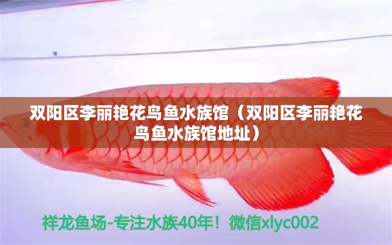 雙陽(yáng)區(qū)李麗艷花鳥(niǎo)魚(yú)水族館（雙陽(yáng)區(qū)李麗艷花鳥(niǎo)魚(yú)水族館地址）