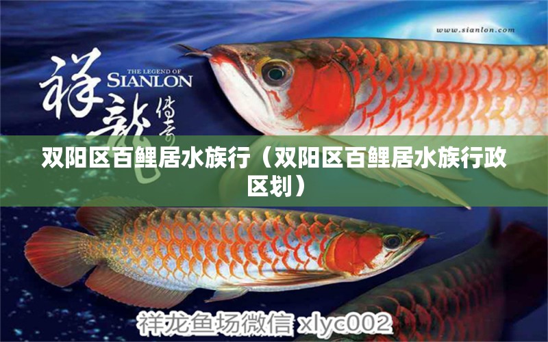 雙陽(yáng)區(qū)百鯉居水族行（雙陽(yáng)區(qū)百鯉居水族行政區(qū)劃）