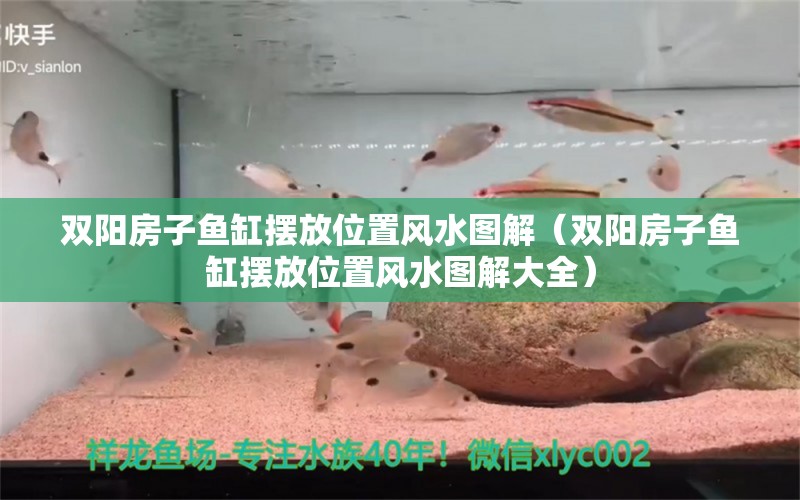 雙陽房子魚缸擺放位置風(fēng)水圖解（雙陽房子魚缸擺放位置風(fēng)水圖解大全）