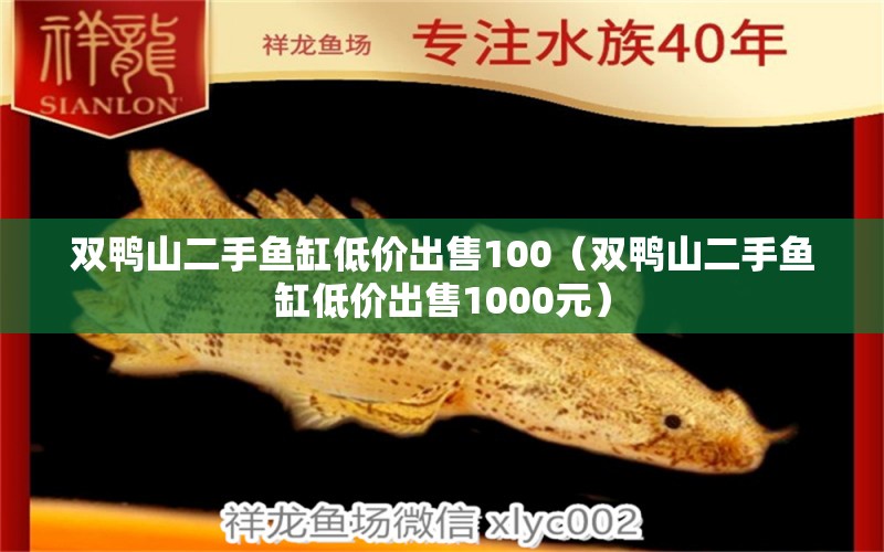 雙鴨山二手魚缸低價出售100（雙鴨山二手魚缸低價出售1000元） 其他品牌魚缸