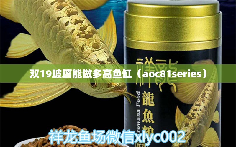 雙19玻璃能做多高魚缸（aoc81series）