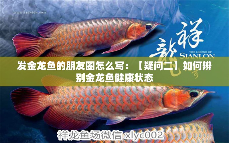 發(fā)金龍魚的朋友圈怎么寫：【疑問二】如何辨別金龍魚健康狀態(tài) 水族問答 第2張