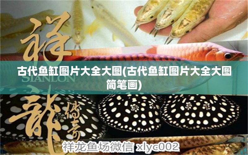 古代魚缸圖片大全大圖(古代魚缸圖片大全大圖簡筆畫) 水族展會