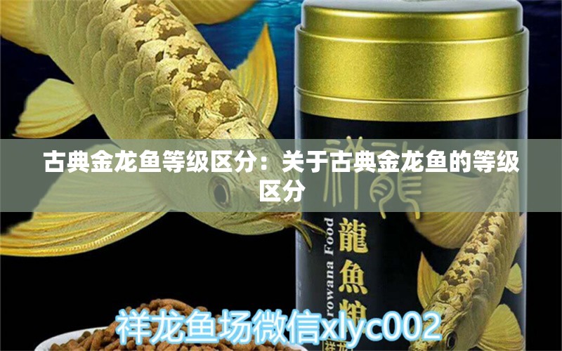 古典金龍魚等級區(qū)分：關于古典金龍魚的等級區(qū)分 龍魚百科 第2張