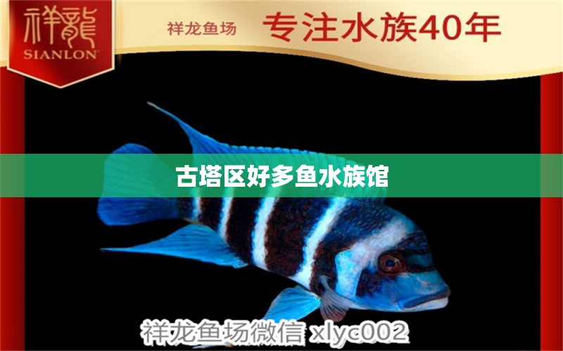 古塔區(qū)好多魚水族館