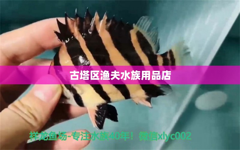 古塔區(qū)漁夫水族用品店 水族用品