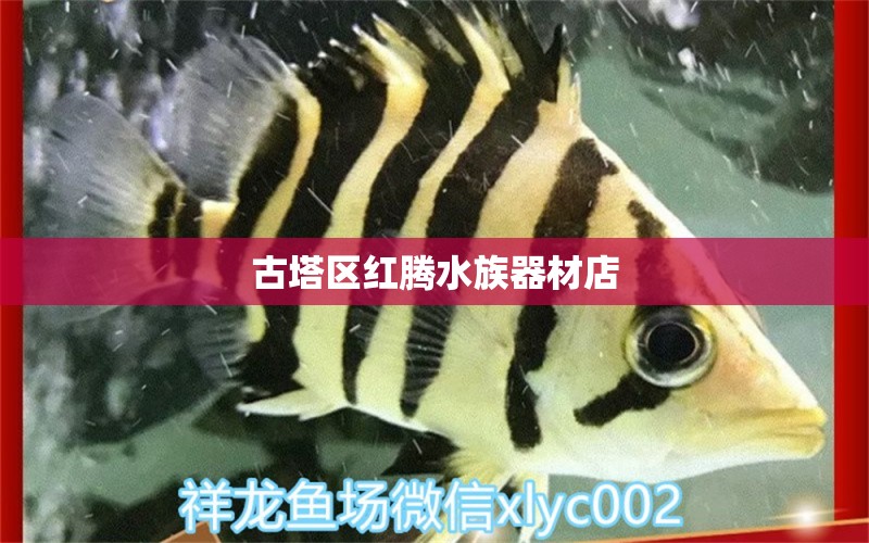 古塔區(qū)紅騰水族器材店