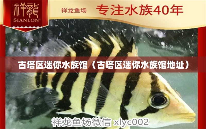 古塔區(qū)迷你水族館（古塔區(qū)迷你水族館地址）