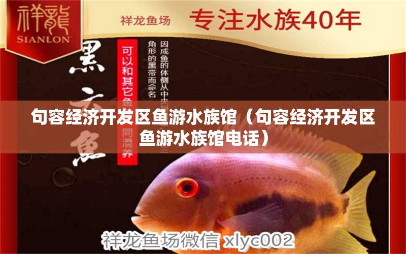 句容經(jīng)濟(jì)開發(fā)區(qū)魚游水族館（句容經(jīng)濟(jì)開發(fā)區(qū)魚游水族館電話） 全國(guó)水族館企業(yè)名錄