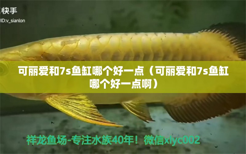 可麗愛和7s魚缸哪個(gè)好一點(diǎn)（可麗愛和7s魚缸哪個(gè)好一點(diǎn)?。? title=