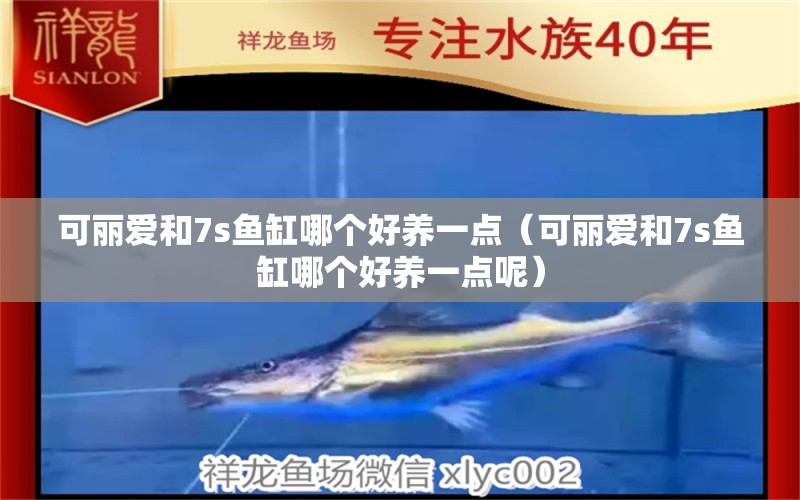 可麗愛和7s魚缸哪個(gè)好養(yǎng)一點(diǎn)（可麗愛和7s魚缸哪個(gè)好養(yǎng)一點(diǎn)呢）