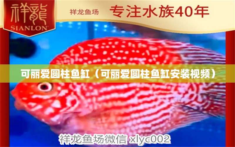 可麗愛圓柱魚缸（可麗愛圓柱魚缸安裝視頻）