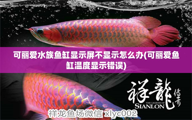 可麗愛水族魚缸顯示屏不顯示怎么辦(可麗愛魚缸溫度顯示錯誤) 一眉道人魚苗