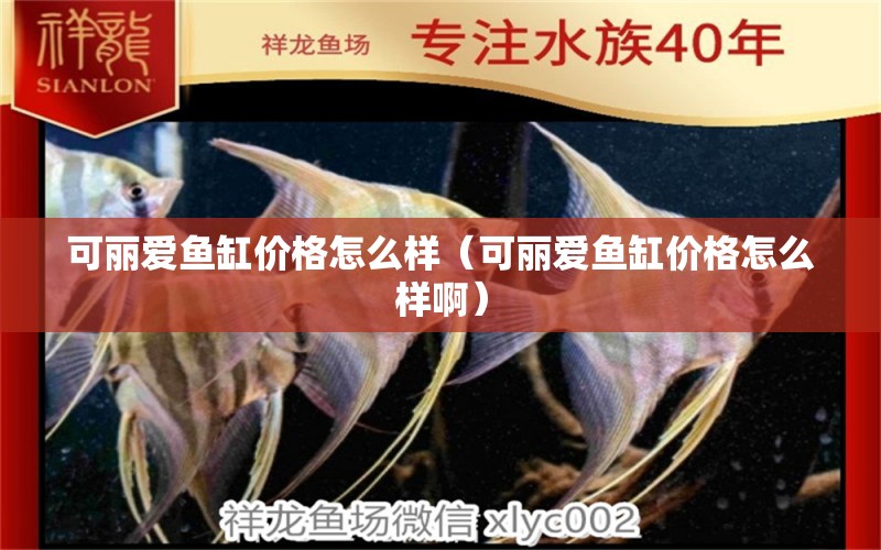 可麗愛魚缸價(jià)格怎么樣（可麗愛魚缸價(jià)格怎么樣啊） iwish愛唯希品牌魚缸