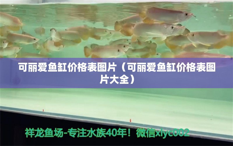 可麗愛(ài)魚缸價(jià)格表圖片（可麗愛(ài)魚缸價(jià)格表圖片大全）