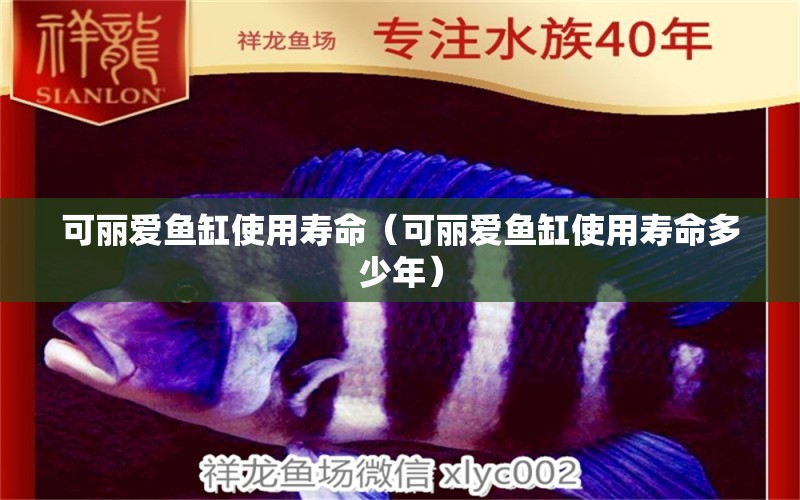 可麗愛魚缸使用壽命（可麗愛魚缸使用壽命多少年） 殺菌消毒設備