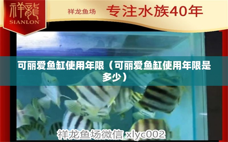 可麗愛魚缸使用年限（可麗愛魚缸使用年限是多少） iwish愛唯希品牌魚缸