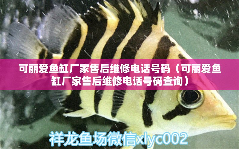 可麗愛(ài)魚(yú)缸廠家售后維修電話號(hào)碼（可麗愛(ài)魚(yú)缸廠家售后維修電話號(hào)碼查詢(xún)）