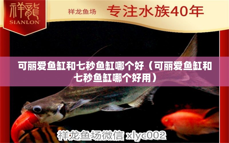 可麗愛魚缸和七秒魚缸哪個好（可麗愛魚缸和七秒魚缸哪個好用）