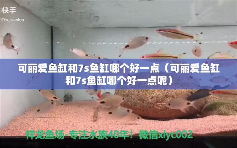 可麗愛魚缸和7s魚缸哪個好一點（可麗愛魚缸和7s魚缸哪個好一點呢）