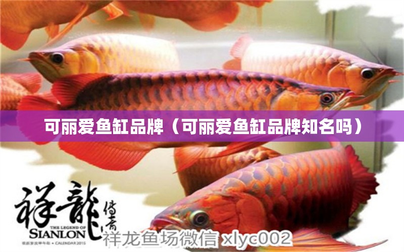 可麗愛魚缸品牌（可麗愛魚缸品牌知名嗎） iwish愛唯希品牌魚缸