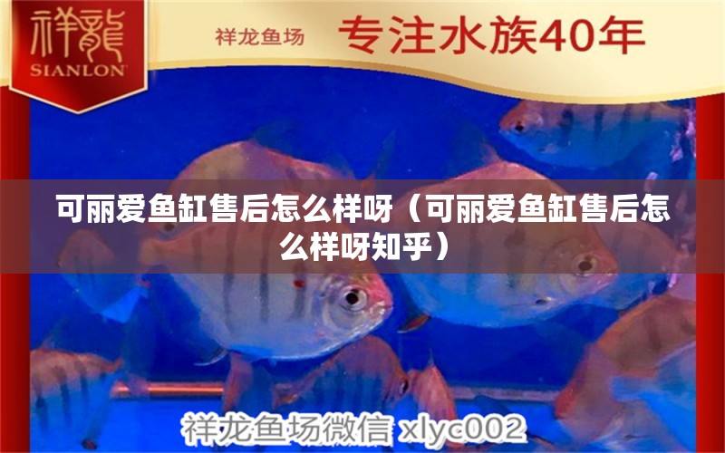 可麗愛魚缸售后怎么樣呀（可麗愛魚缸售后怎么樣呀知乎）